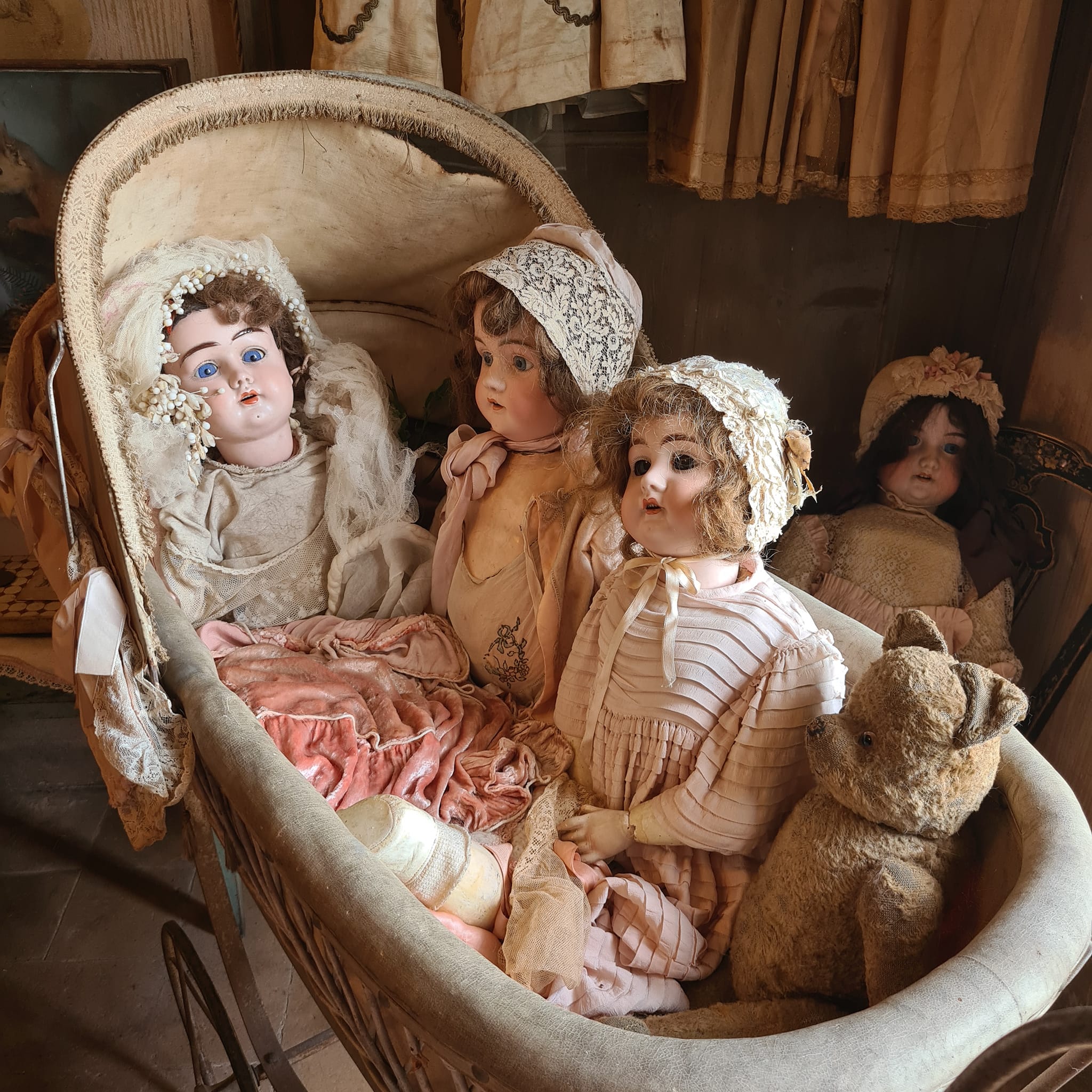 283785617_1712071679139820_7231778462123589343_n